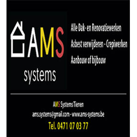 AMS Systems