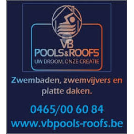 VB Pools & Roofs