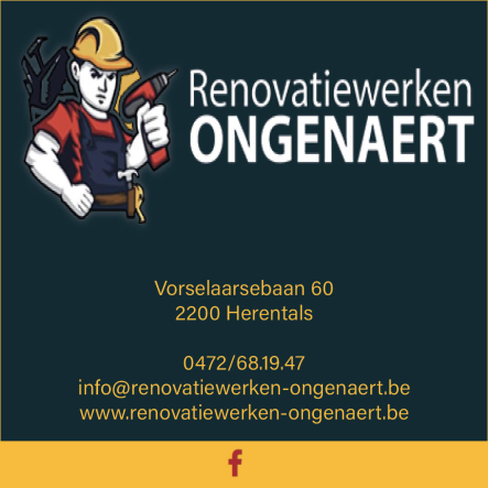 Renovatiewerken Ongenaert